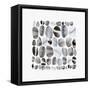 Pebble Treat I-Eva Watts-Framed Stretched Canvas