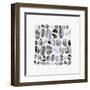 Pebble Treat I-Eva Watts-Framed Art Print