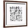 Pebble Treat II-Eva Watts-Framed Art Print