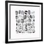 Pebble Treat II-Eva Watts-Framed Art Print