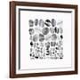 Pebble Treat II-Eva Watts-Framed Art Print