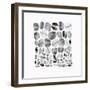 Pebble Treat II-Eva Watts-Framed Art Print