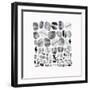 Pebble Treat II-Eva Watts-Framed Art Print