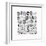 Pebble Treat II-Eva Watts-Framed Art Print