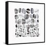 Pebble Treat II-Eva Watts-Framed Stretched Canvas