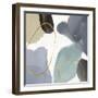 Pebbled Tranquility-Paul Duncan-Framed Giclee Print
