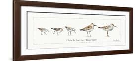 Pebbles and Sandpipers I-Lisa Audit-Framed Art Print