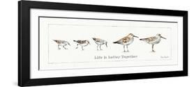 Pebbles and Sandpipers I-Lisa Audit-Framed Art Print