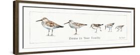 Pebbles and Sandpipers IX-Lisa Audit-Framed Premium Giclee Print