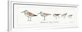 Pebbles and Sandpipers IX-Lisa Audit-Framed Premium Giclee Print