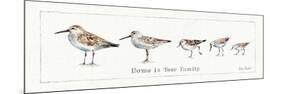 Pebbles and Sandpipers IX-Lisa Audit-Mounted Art Print