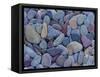 Pebbles at St. Mary Lake, Glacier National Park, Montana, United States of America, North America-James Hager-Framed Stretched Canvas