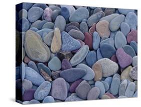 Pebbles at St. Mary Lake, Glacier National Park, Montana, United States of America, North America-James Hager-Stretched Canvas