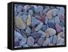 Pebbles at St. Mary Lake, Glacier National Park, Montana, United States of America, North America-James Hager-Framed Stretched Canvas