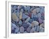 Pebbles at St. Mary Lake, Glacier National Park, Montana, United States of America, North America-James Hager-Framed Photographic Print