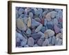 Pebbles at St. Mary Lake, Glacier National Park, Montana, United States of America, North America-James Hager-Framed Photographic Print