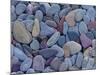 Pebbles at St. Mary Lake, Glacier National Park, Montana, United States of America, North America-James Hager-Mounted Photographic Print