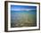 Pebbles in Bear Lake, Near Rendezvous Beach, Utah, USA-Scott T^ Smith-Framed Photographic Print