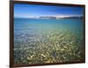 Pebbles in Bear Lake, Near Rendezvous Beach, Utah, USA-Scott T^ Smith-Framed Photographic Print