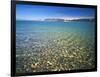 Pebbles in Bear Lake, Near Rendezvous Beach, Utah, USA-Scott T^ Smith-Framed Photographic Print