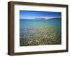 Pebbles in Bear Lake, Near Rendezvous Beach, Utah, USA-Scott T^ Smith-Framed Photographic Print