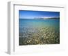 Pebbles in Bear Lake, Near Rendezvous Beach, Utah, USA-Scott T^ Smith-Framed Photographic Print