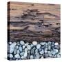 Pebbles in front of Tree Trunk-Micha Pawlitzki-Stretched Canvas