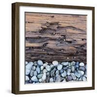 Pebbles in front of Tree Trunk-Micha Pawlitzki-Framed Photographic Print