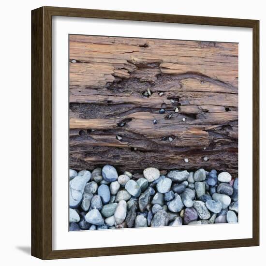 Pebbles in front of Tree Trunk-Micha Pawlitzki-Framed Photographic Print