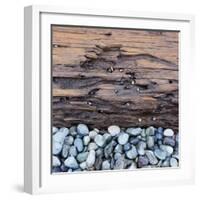 Pebbles in front of Tree Trunk-Micha Pawlitzki-Framed Photographic Print