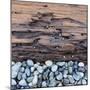 Pebbles in front of Tree Trunk-Micha Pawlitzki-Mounted Photographic Print
