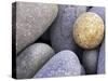 Pebbles in Sandymouth Beach, Cornwall, UK-Nadia Isakova-Stretched Canvas