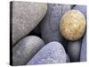 Pebbles in Sandymouth Beach, Cornwall, UK-Nadia Isakova-Stretched Canvas