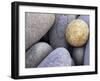 Pebbles in Sandymouth Beach, Cornwall, UK-Nadia Isakova-Framed Photographic Print