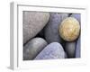 Pebbles in Sandymouth Beach, Cornwall, UK-Nadia Isakova-Framed Photographic Print