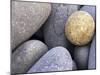 Pebbles in Sandymouth Beach, Cornwall, UK-Nadia Isakova-Mounted Photographic Print