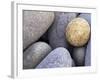 Pebbles in Sandymouth Beach, Cornwall, UK-Nadia Isakova-Framed Photographic Print