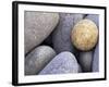 Pebbles in Sandymouth Beach, Cornwall, UK-Nadia Isakova-Framed Photographic Print