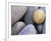 Pebbles in Sandymouth Beach, Cornwall, UK-Nadia Isakova-Framed Photographic Print