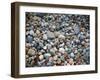 Pebbles, Little Hunters Beach-Michael Hudson-Framed Giclee Print