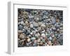 Pebbles, Little Hunters Beach-Michael Hudson-Framed Giclee Print