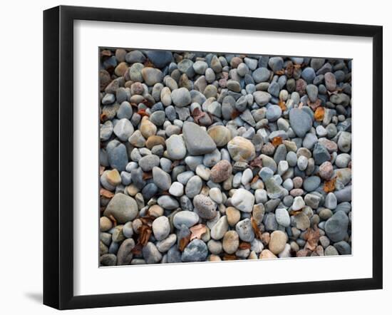 Pebbles, Little Hunters Beach-Michael Hudson-Framed Giclee Print