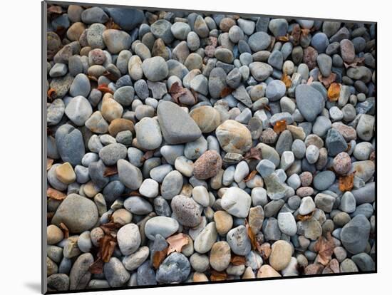 Pebbles, Little Hunters Beach-Michael Hudson-Mounted Giclee Print