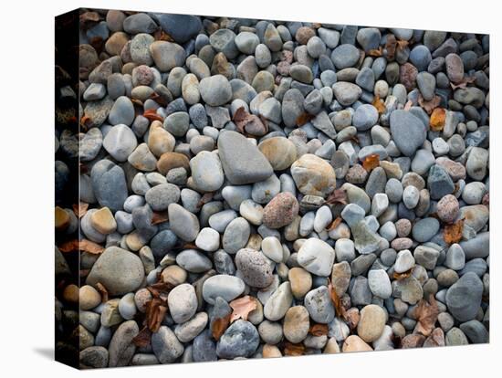 Pebbles, Little Hunters Beach-Michael Hudson-Stretched Canvas