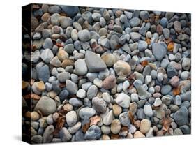 Pebbles, Little Hunters Beach-Michael Hudson-Stretched Canvas