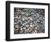 Pebbles, Little Hunters Beach-Michael Hudson-Framed Art Print