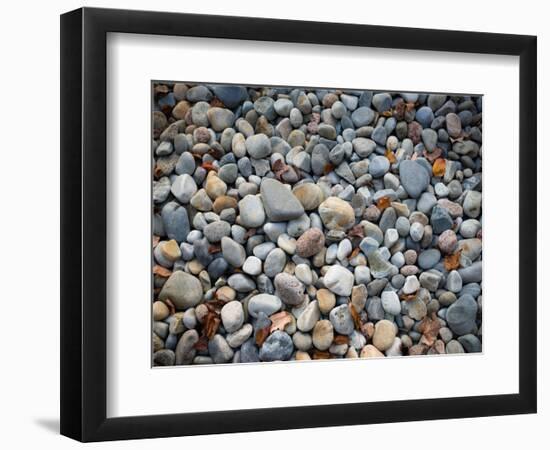 Pebbles, Little Hunters Beach-Michael Hudson-Framed Art Print