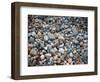 Pebbles, Little Hunters Beach-Michael Hudson-Framed Art Print