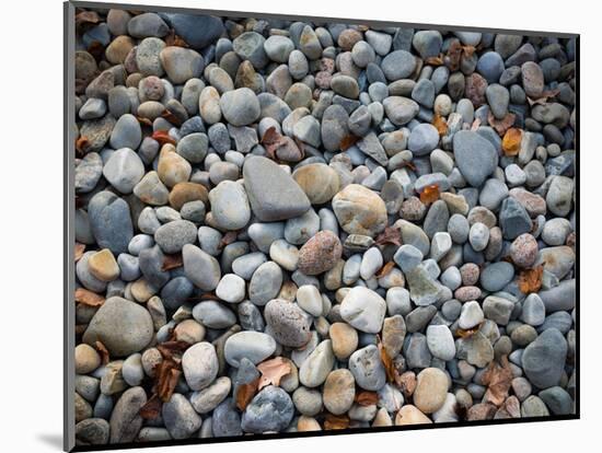 Pebbles, Little Hunters Beach-Michael Hudson-Mounted Art Print