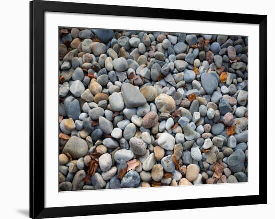 Pebbles, Little Hunters Beach-Michael Hudson-Framed Art Print